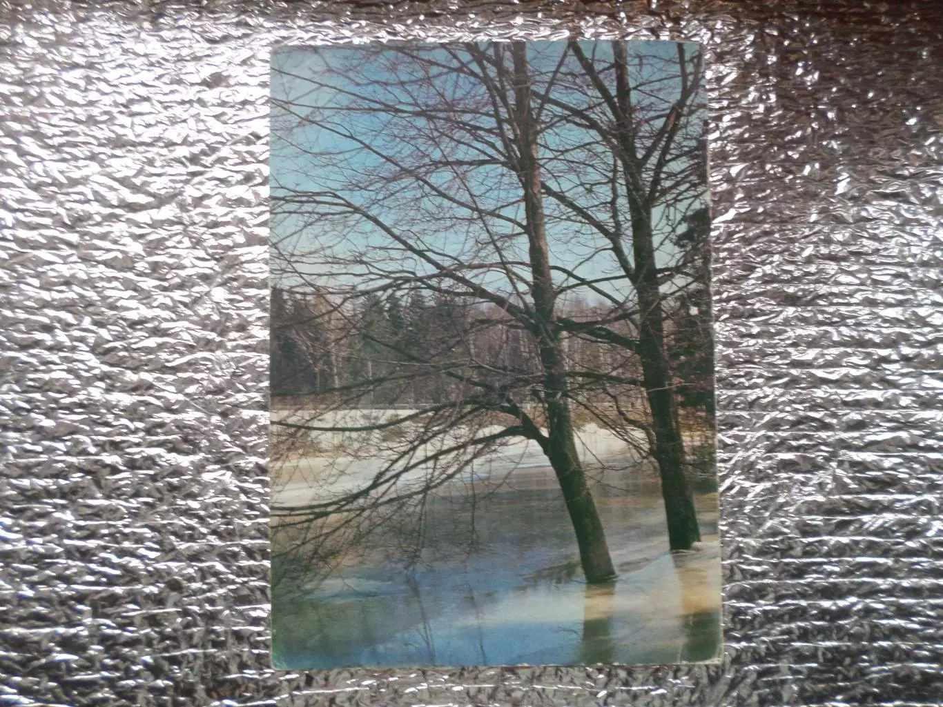 открытка Весенний мотив 1981 г