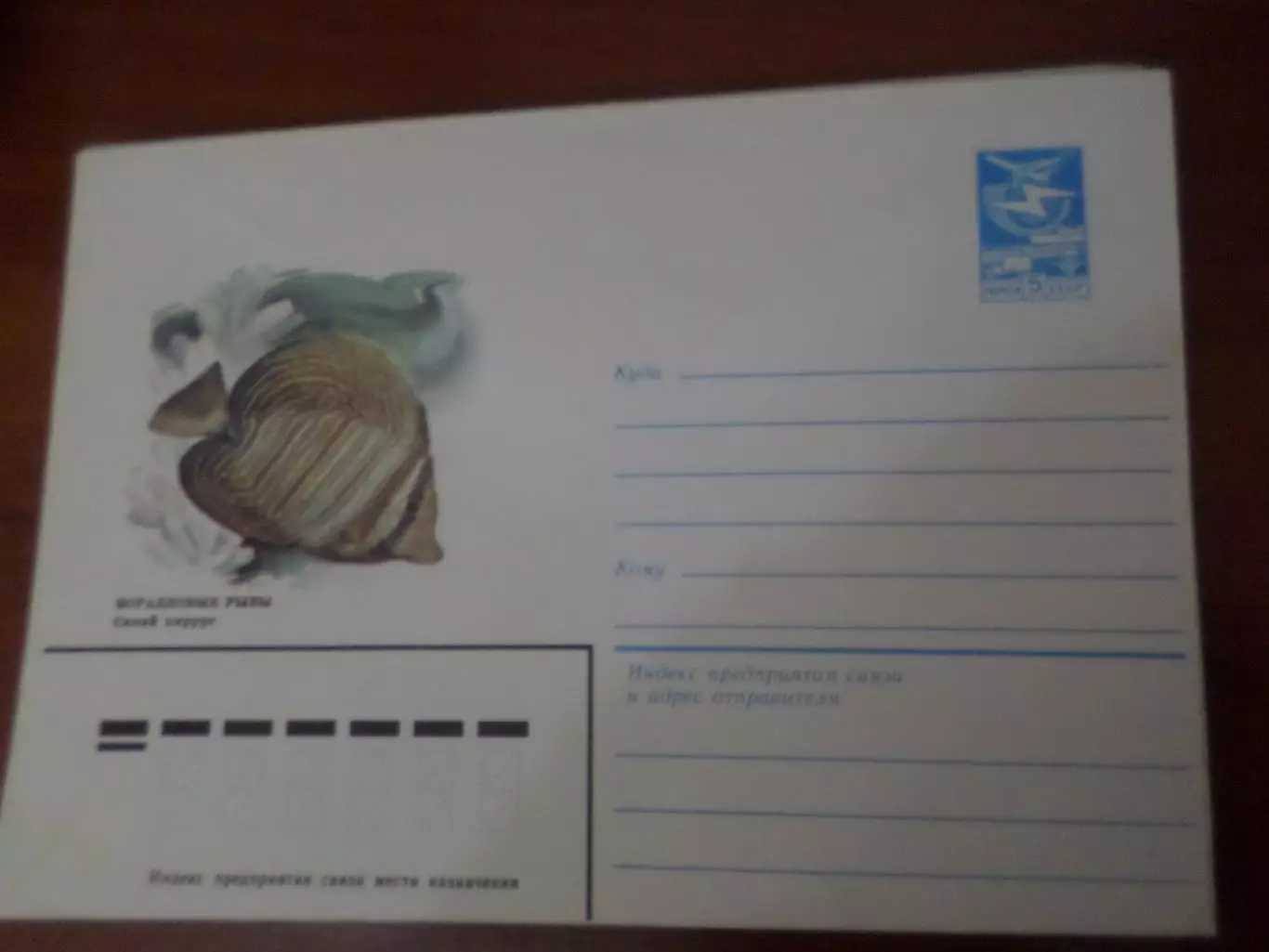 конверт СССР ХМК Коралловые рыбы 1984 г