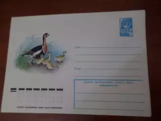 конверт СССР ХМК Краснозобая казарка 1978 г