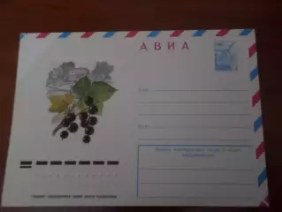 конверт СССР ХМК Черная смородина 1978 г