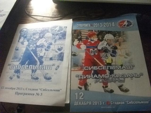 Сибсельмаш (Новосибирск)- Динамо Казань 2013-2014