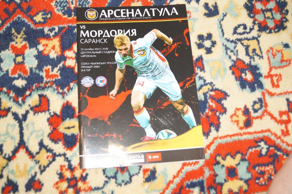 Арсенал(Тула)- Мордовия(Саранск) премьер лига2014 год
