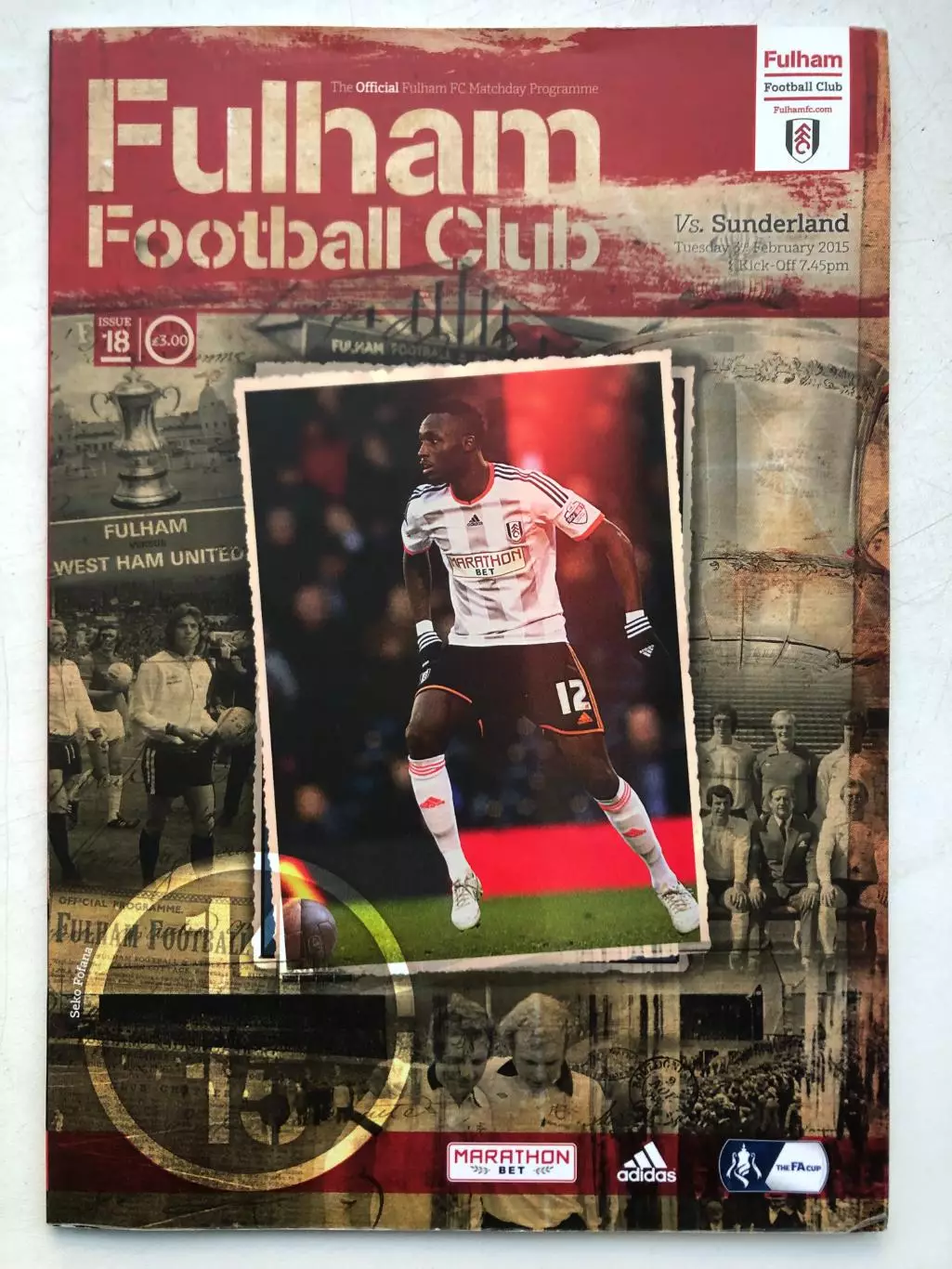 Фулхэм - Сандерленд 3.02.2015 68 стр.