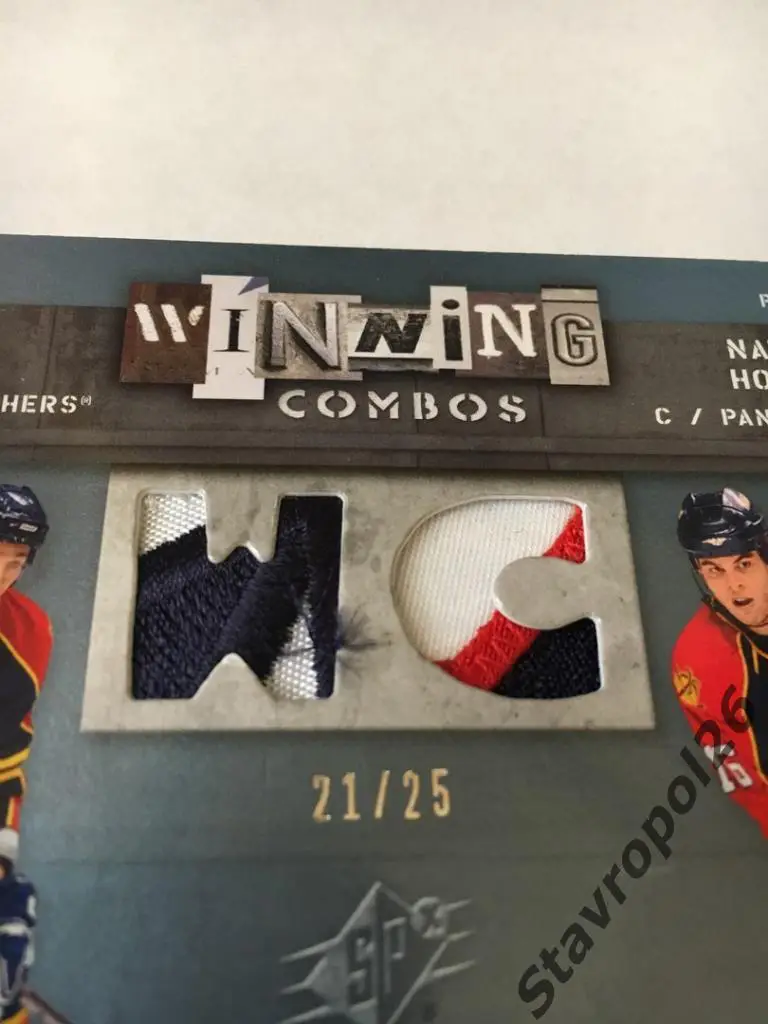 Хоккей. НХЛ. David Booth-Nathan Horton ( Florida Panthers) Шикарный кусок форм 1