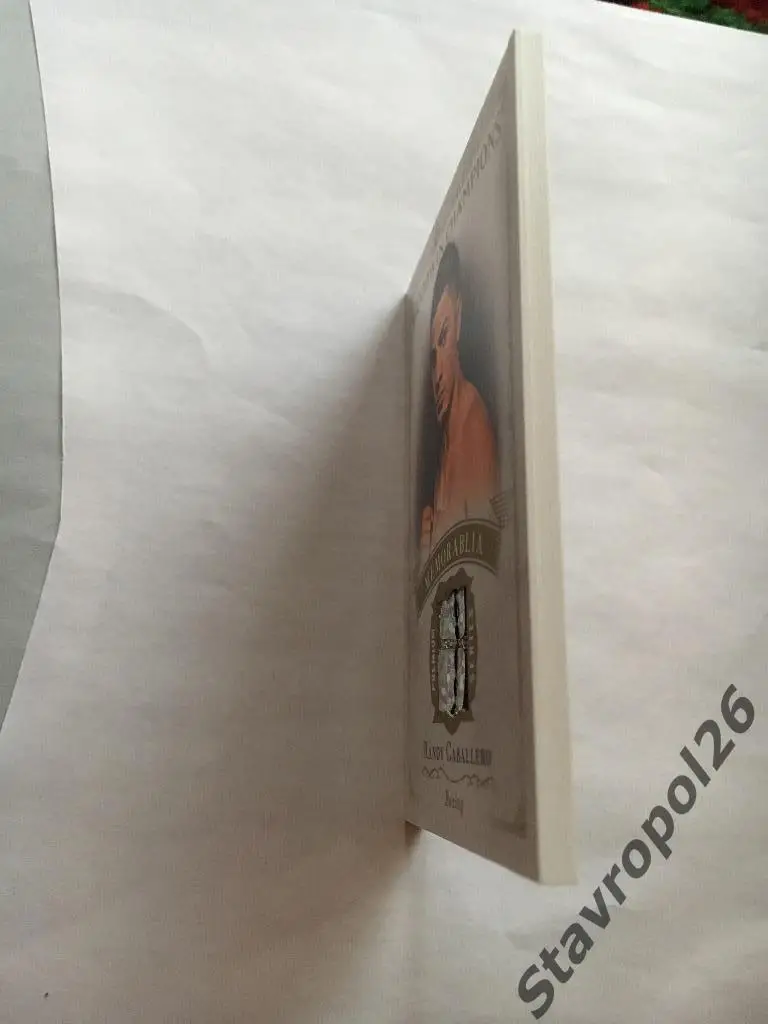 Бокс. Джерси Randy Caballero ( чемпион Мира по версии IBF) premium series 3