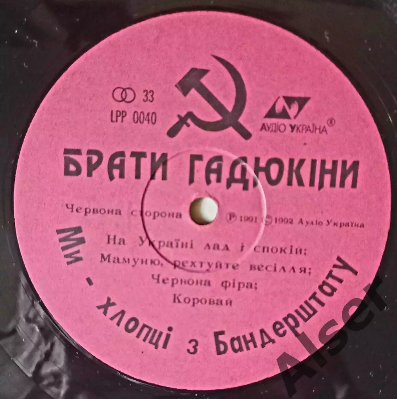 Брати Гадюкіни Ми-хлопці з Бандерштату 2