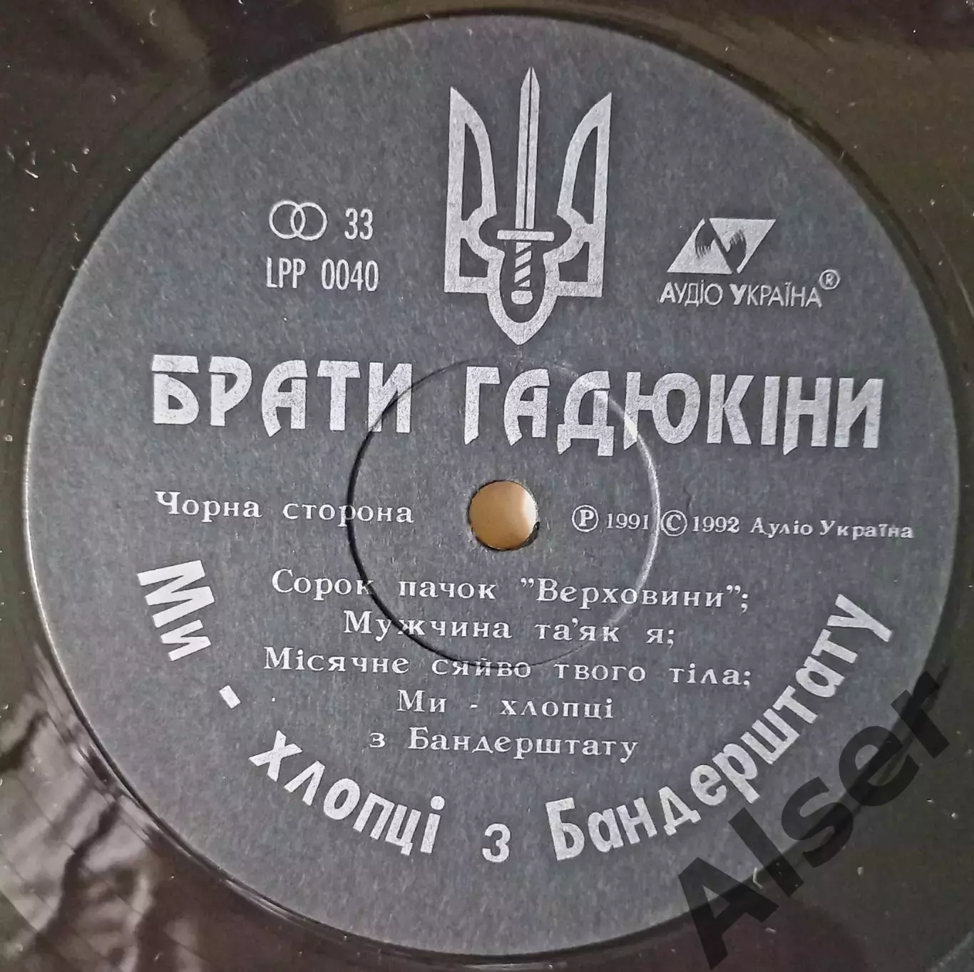 Брати Гадюкіни Ми-хлопці з Бандерштату 3