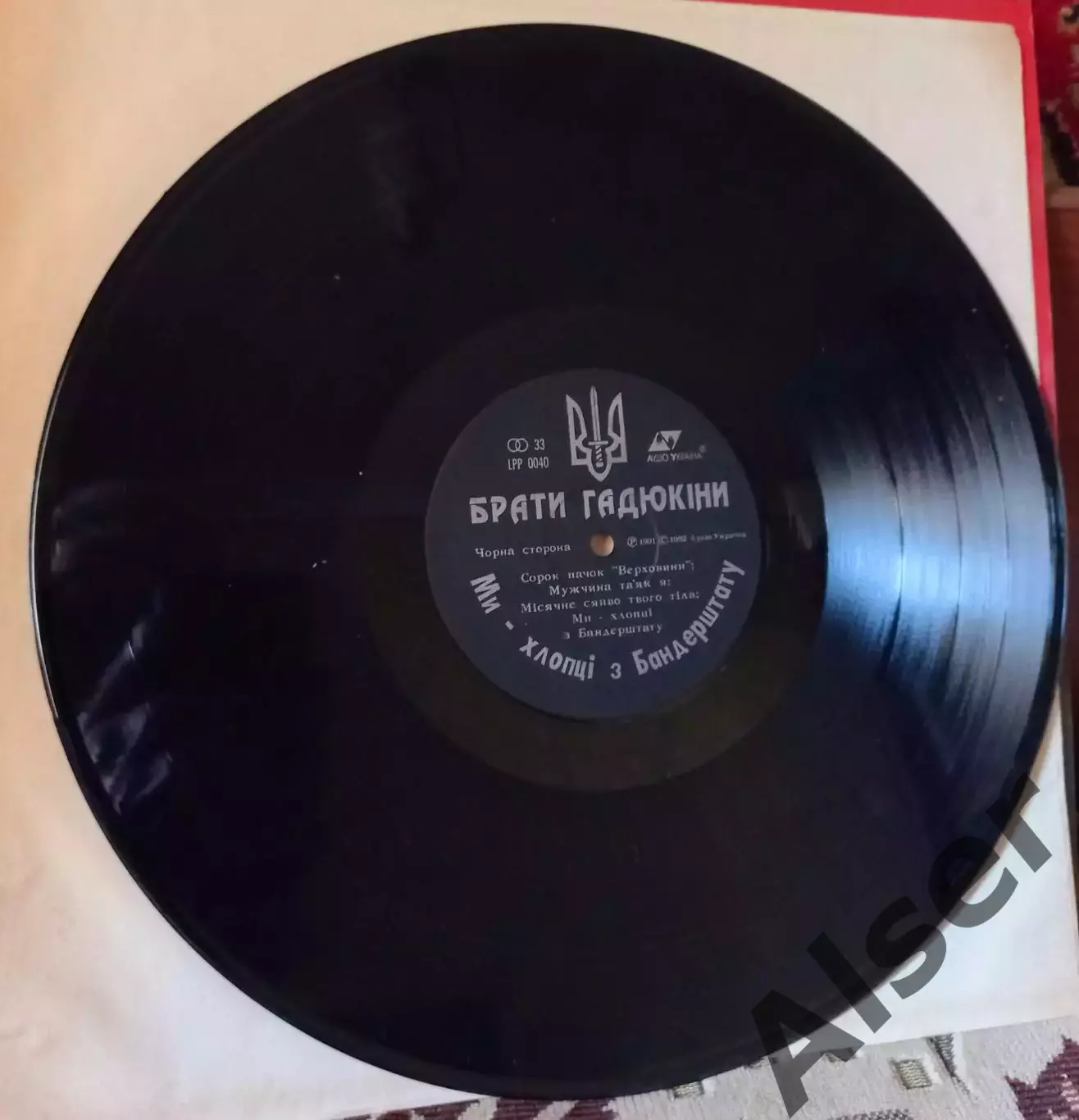 Брати Гадюкіни Ми-хлопці з Бандерштату 4