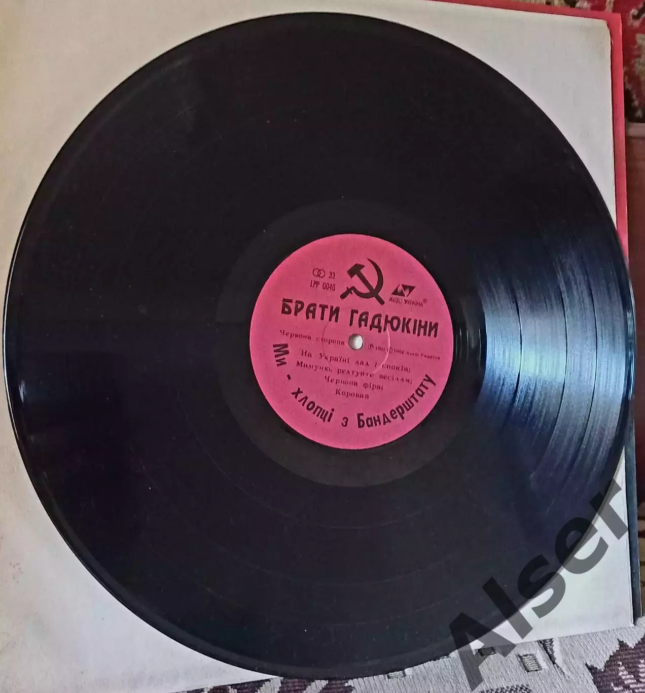 Брати Гадюкіни Ми-хлопці з Бандерштату 5