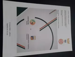 Локомотив Лиски - Университет спорта Смоленск 2025 лфл авторская