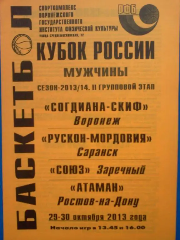 Воронеж 2013 тур Саранск / Заречный / Ростов-на-Дону