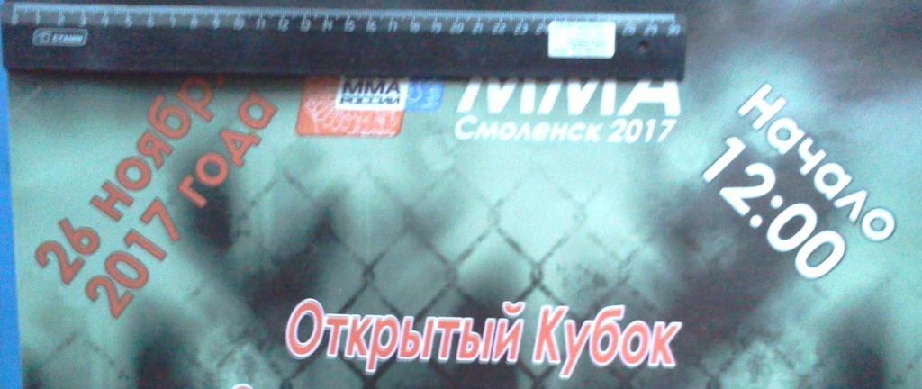 афиша открытый Кубок Смоленской области по смешанному боевому единоборству ММА 1