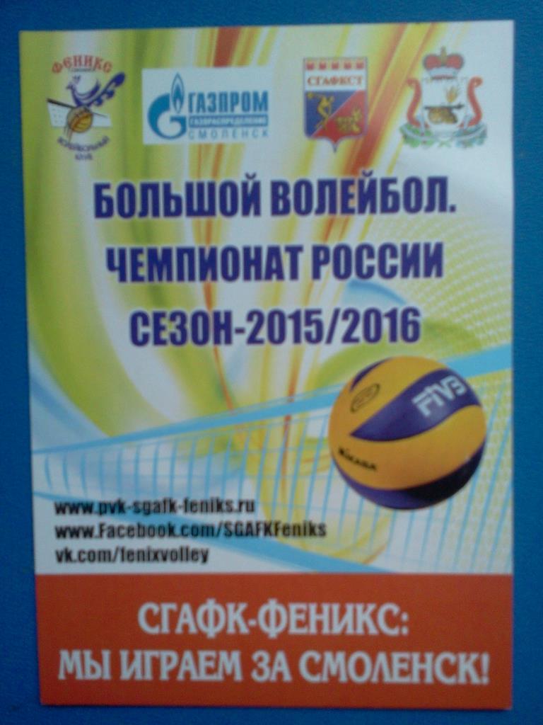 волейбол Смоленск 2015 / 2016 тур флаер-приглашение