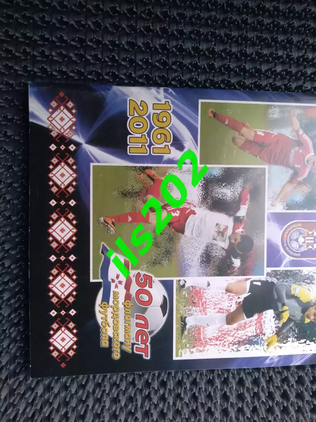 Саранск 2011 1