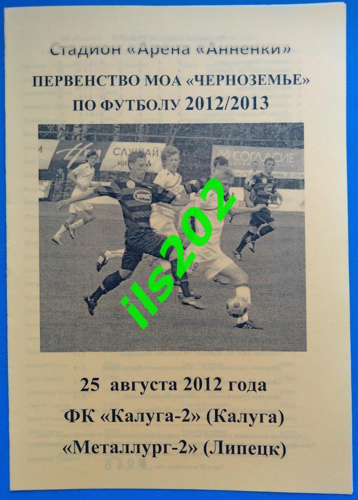 ФК Калуга-2 - Металлург-2 Липецк 2012 МОА Черноземье 3-й дивизион