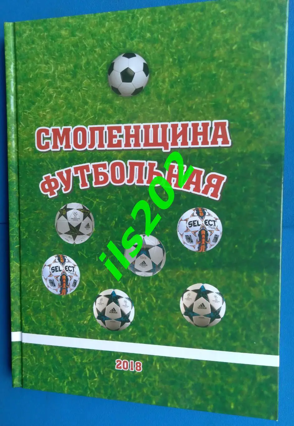 Перепекин Смоленщина футбольная 2018