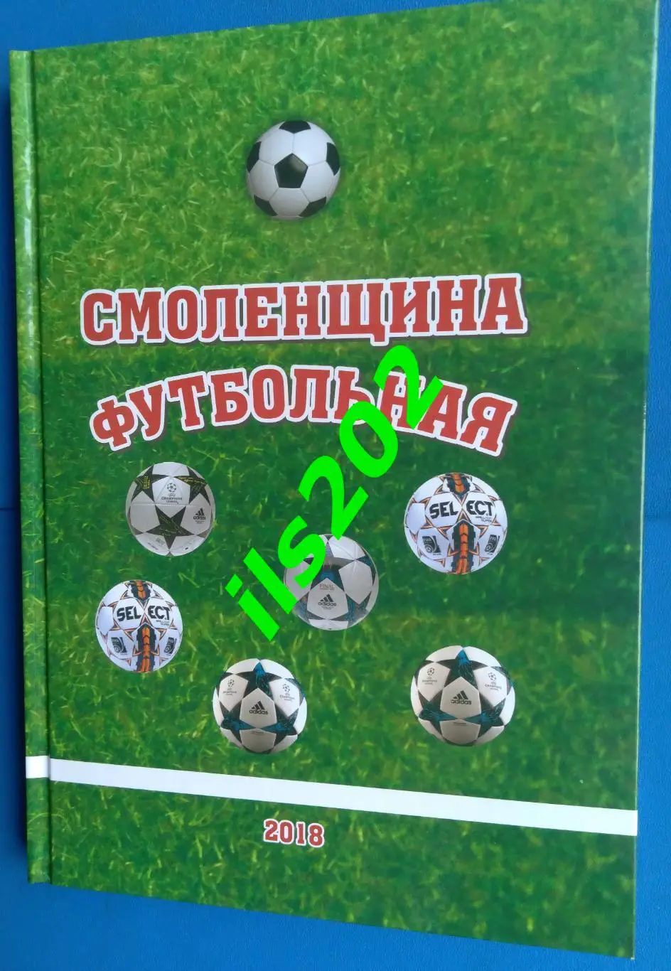 Перепекин Смоленщина футбольная 2018