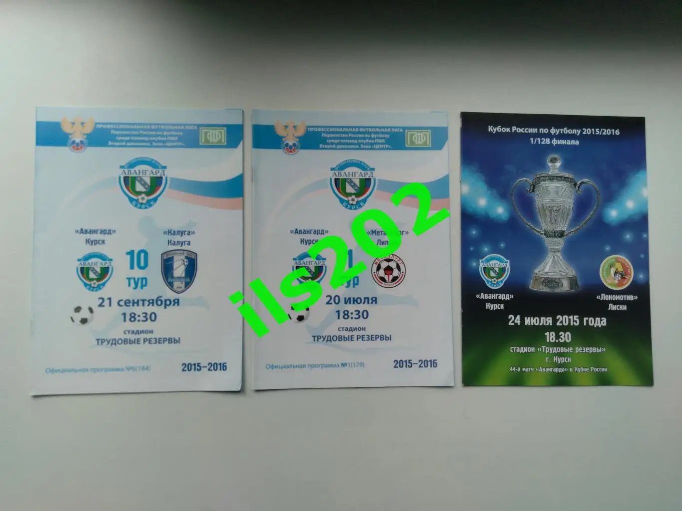 Авангард Курск - Локомотив Лиски 2015 / 2016 кубок России