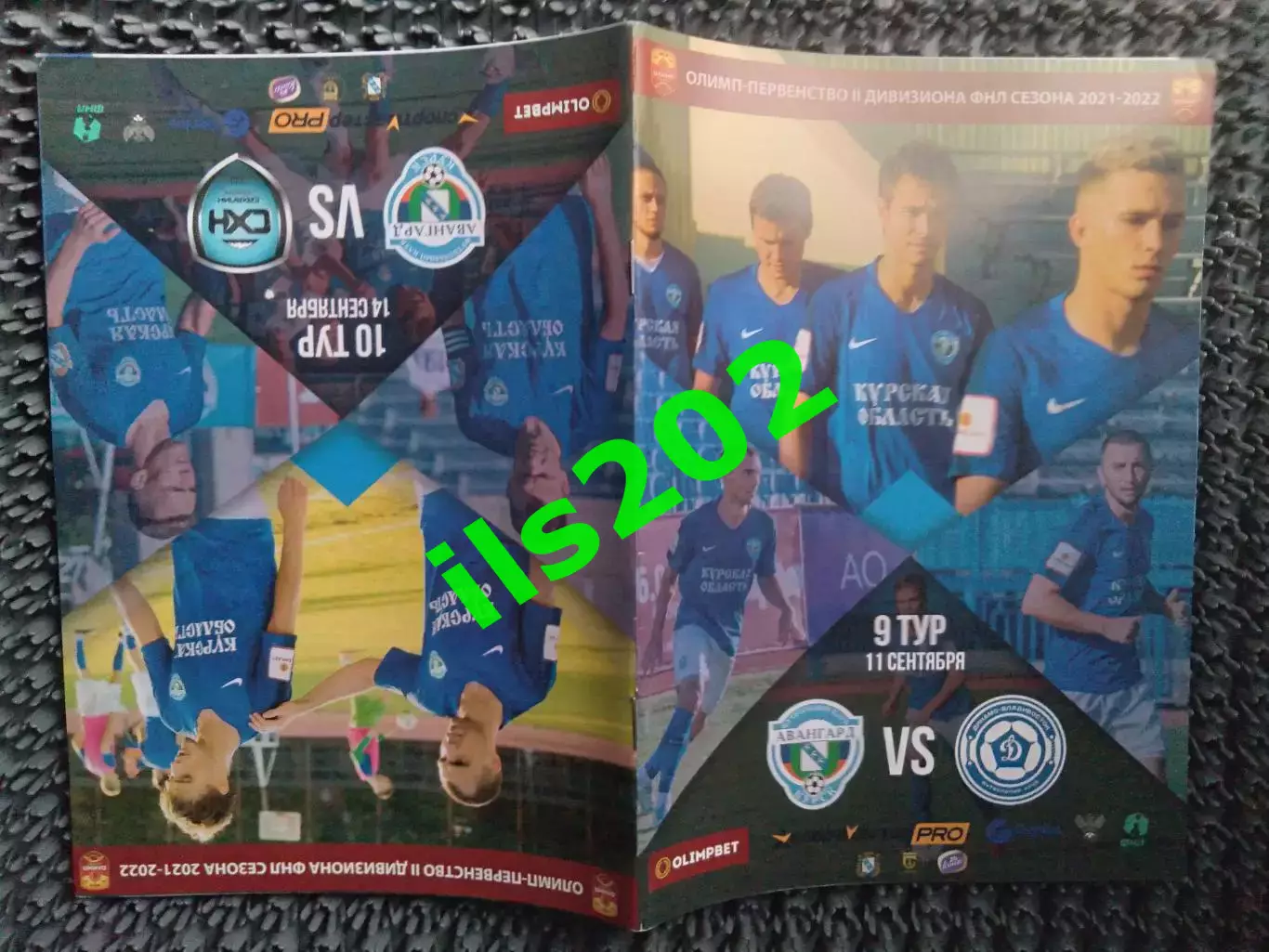 Авангард Курск - Динамо Владивосток / Сахалин Южно-Сахалинск 2021 / 2022