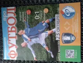 ФК Калуга - Факел Воронеж 2014 / 2015