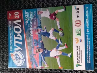 Факел Воронеж - Выбор-Курбатово Воронеж 10.11.2014