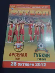 Арсенал Тула - ФК Губкин 2012 / 2013