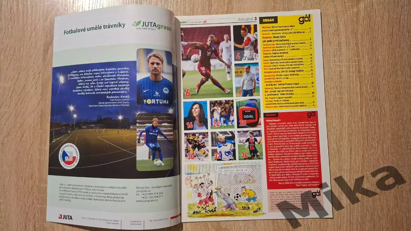 GOL 8-2013 (Чехия) 1