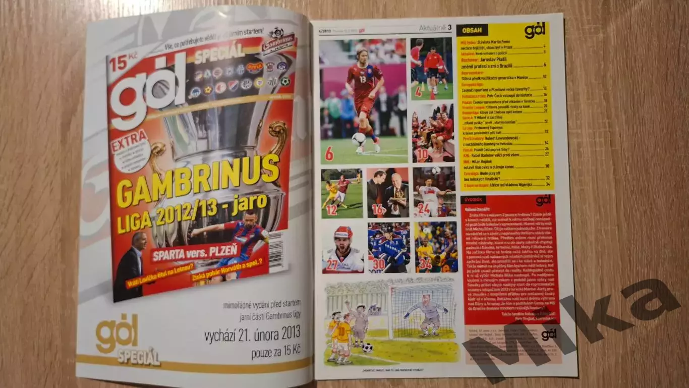 GOL 4-2013 (Чехия) 1