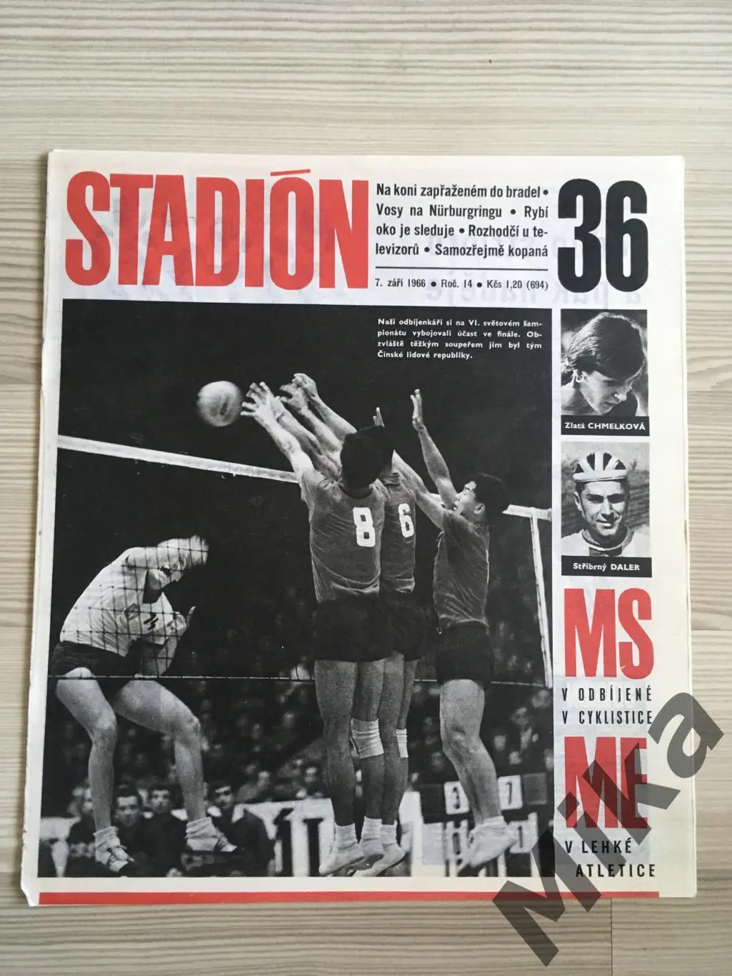 Стадион №36 1966