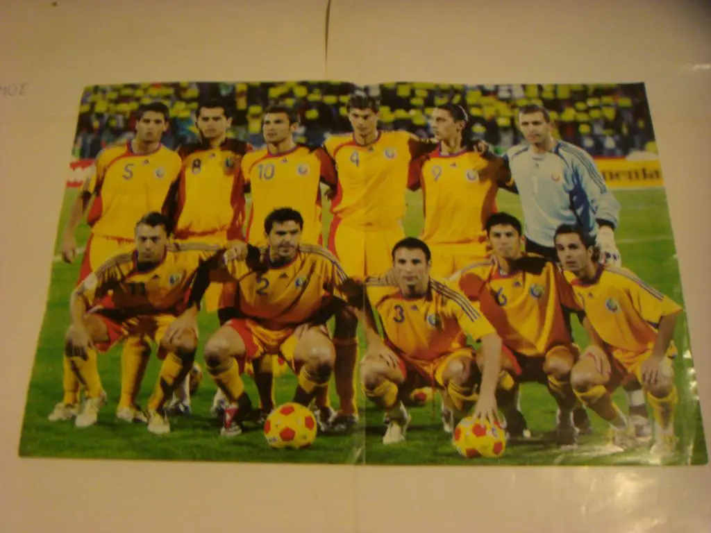 Сборная Румыния2010