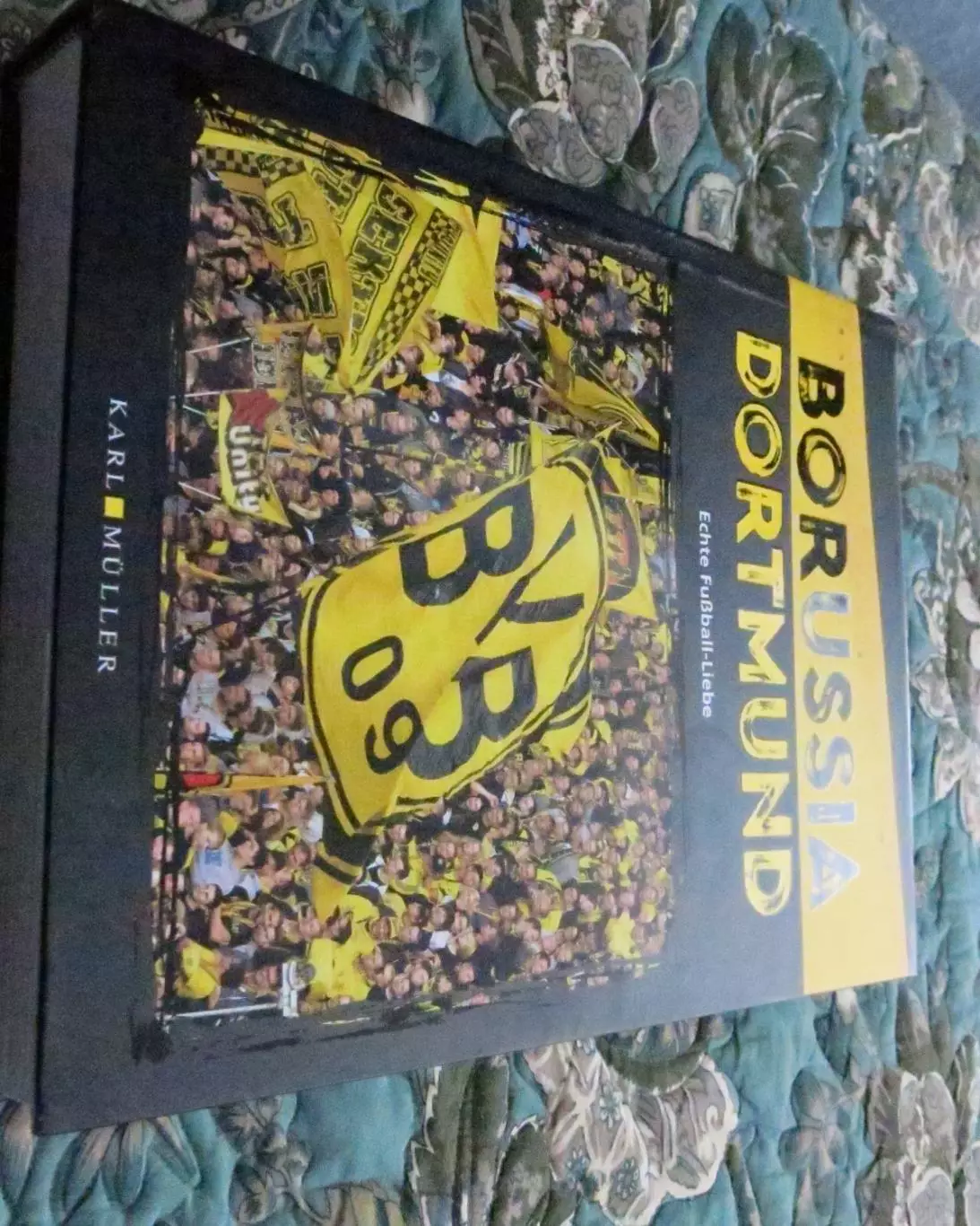 kniga bvb. istoria kluba