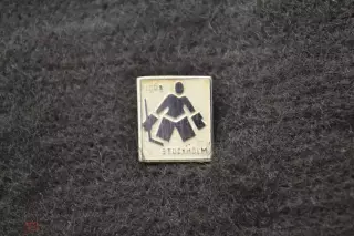 Хоккей Стокгольм 1969 Тяжелый