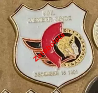 Хоккей НХЛ Оттава Сенаторз Член НХЛ с 1991