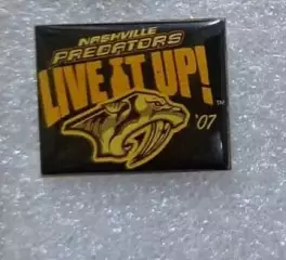 Хоккей НХЛ Нешвилл Предаторз