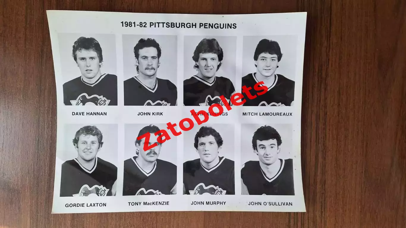 Хоккей НХЛ Питтсбург Пингвинз 1981-1982 1