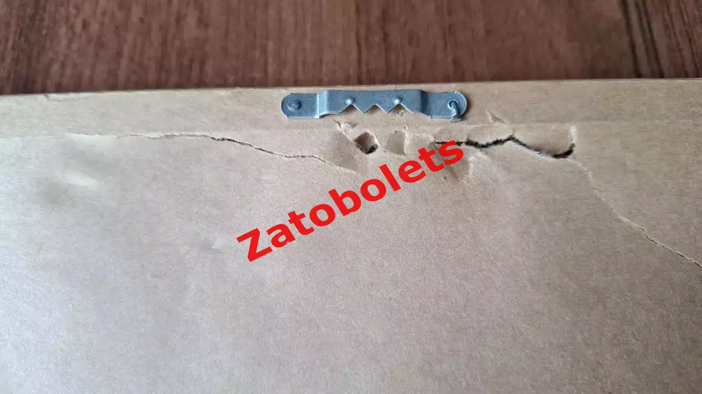 Знаки Игры доброй воли 1990 Сиэттл США Страны флаги СССР 4