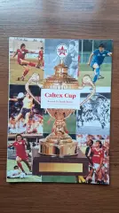 Арсенал Лондон Англия - Южная Корея 1990 CALTEX CUP Финал