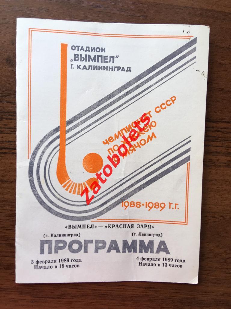 Вымпел Калининград - Красная Заря Ленинград 1988/1989 *