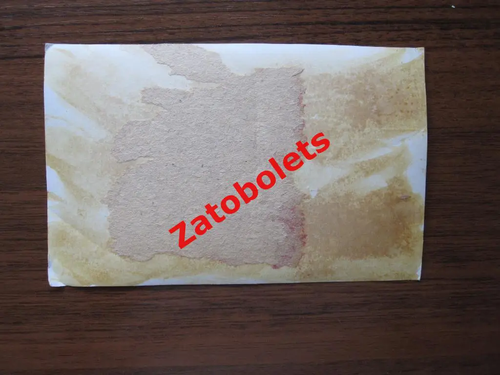 Фото Олимпиада 1980 Открытие 1