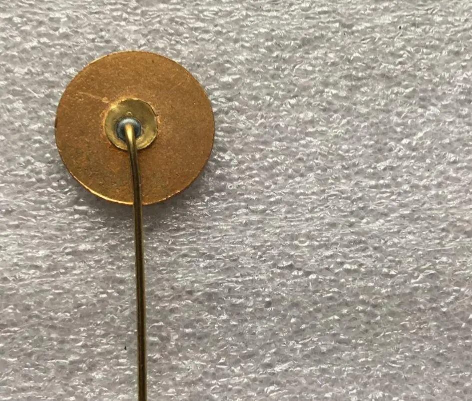 Значок Эгле Вильнюс Литва иголка 1