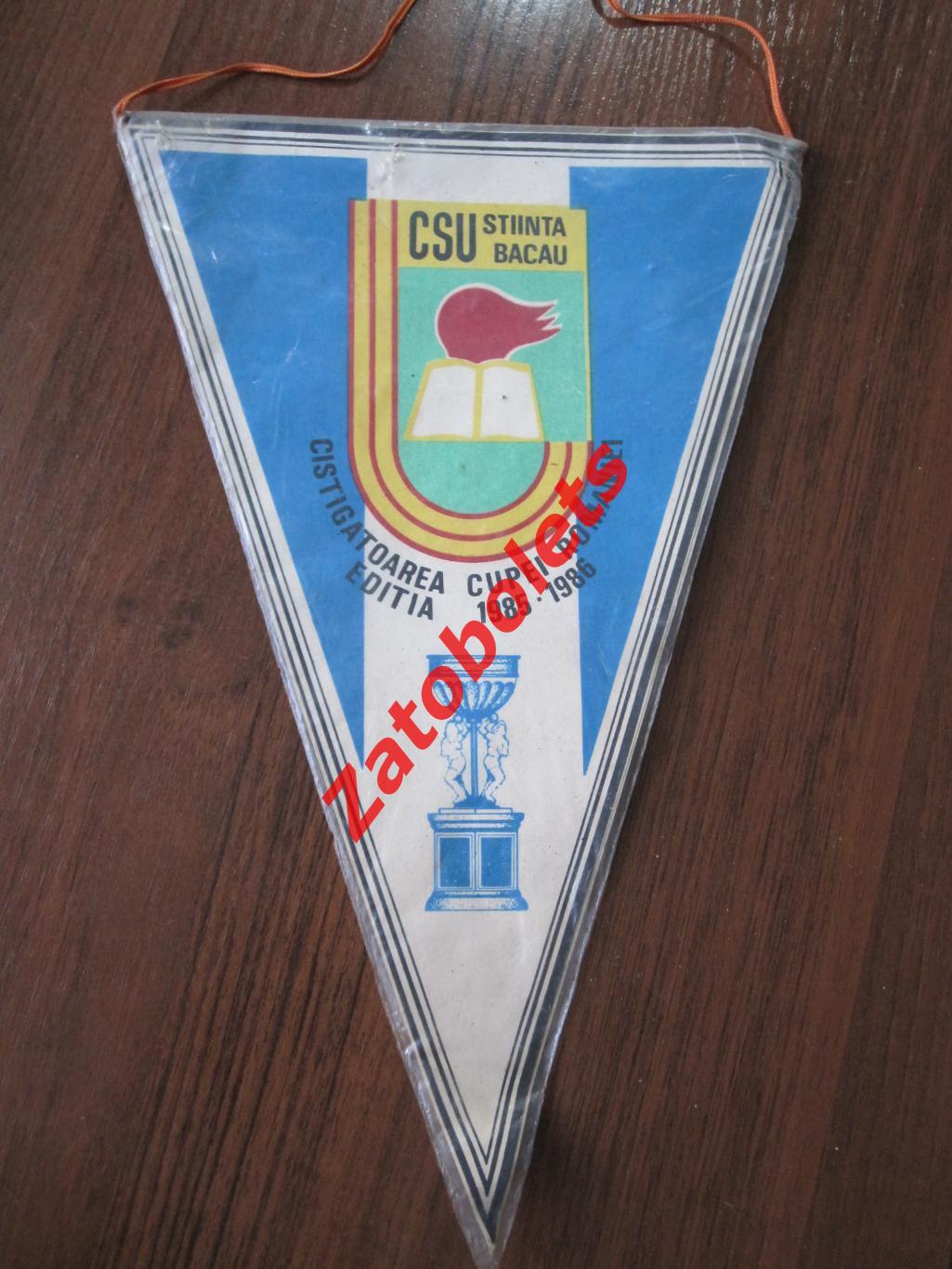 Вымпел Гандбол Стинта Бакэу Чемпионат Румынии 1986-1987 1