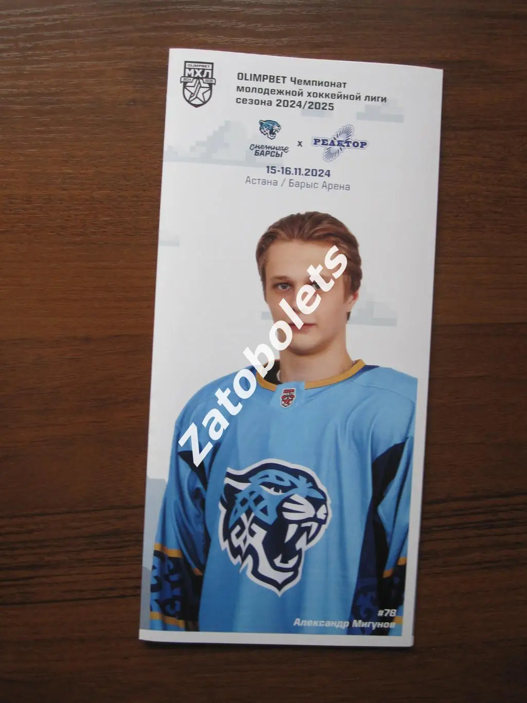 Снежные барсы Астана Казахстан - Реактор Нижнекамск 15-16.11.2024