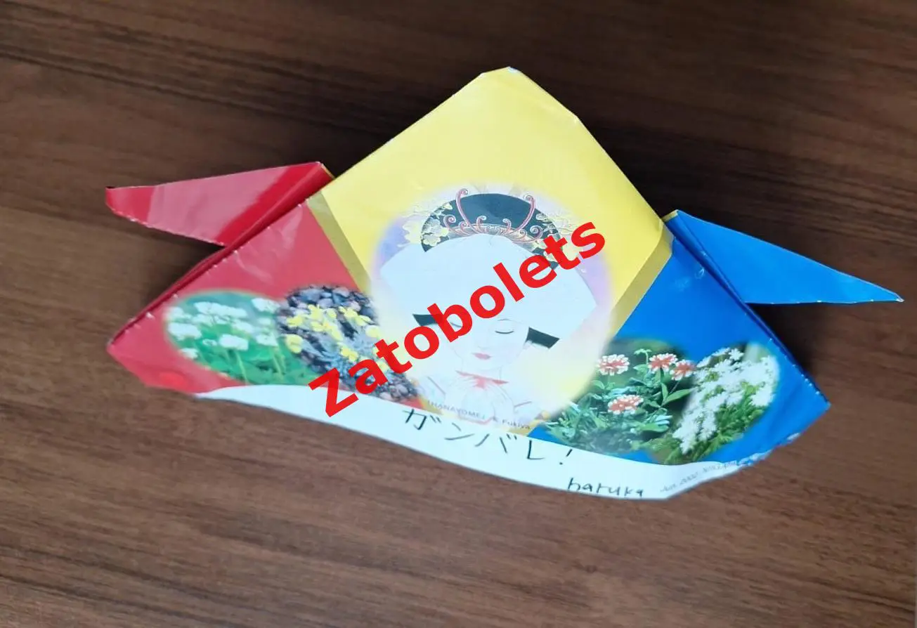 Треуголка Кепка Футбол Чемпионат мира 2002 Япония Корея Доро пожаловать Ниигата 1