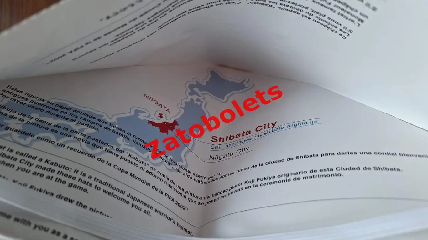 Треуголка Кепка Футбол Чемпионат мира 2002 Япония Корея Доро пожаловать Ниигата 2