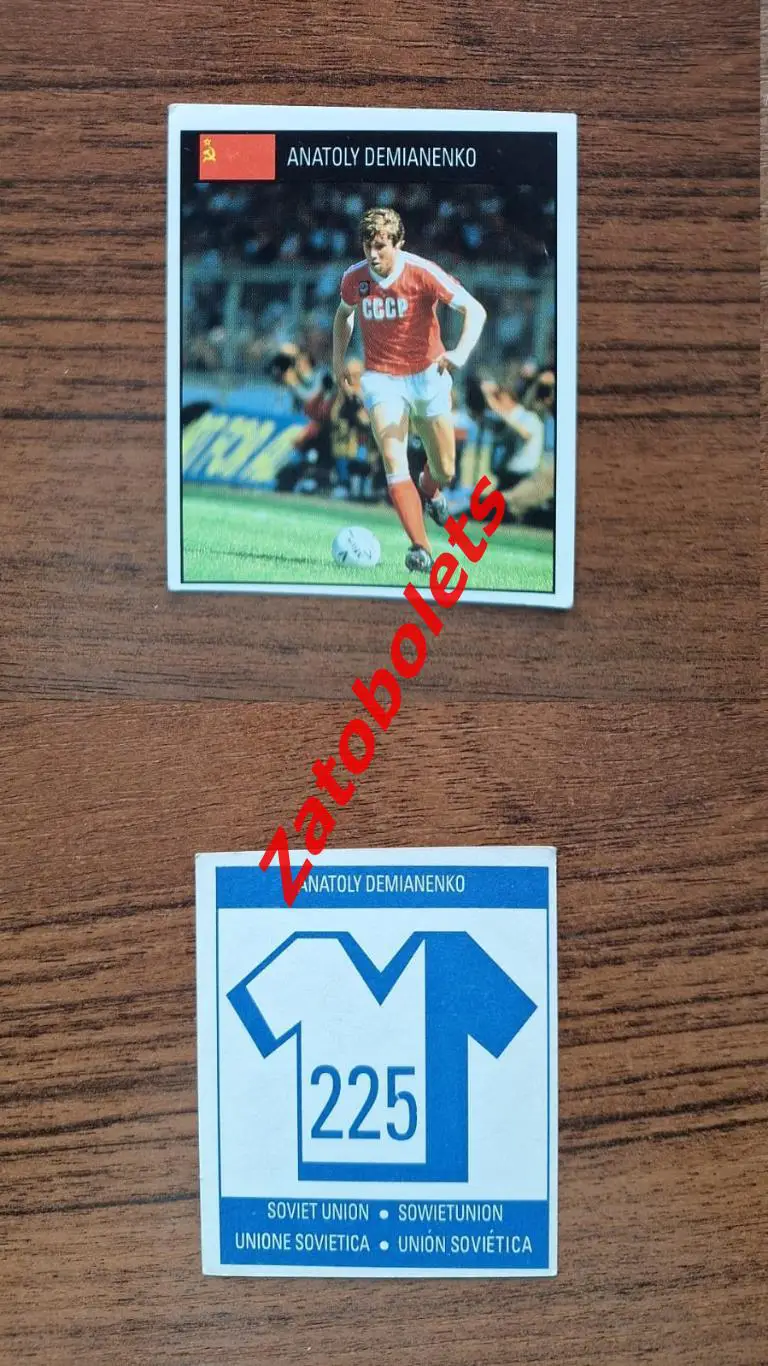 Анатолий Демьяненко Сборная СССР Чемпионат Мира 1990