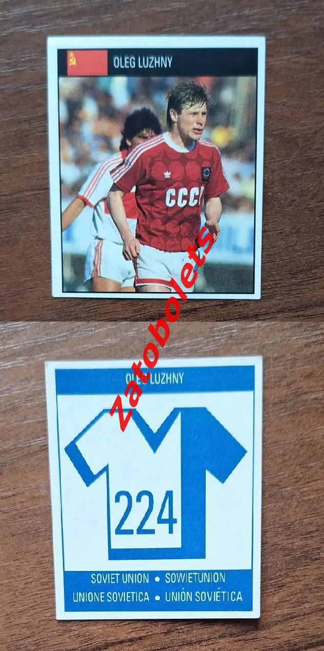 Олег Лужный Сборная СССР Чемпионат Мира 1990