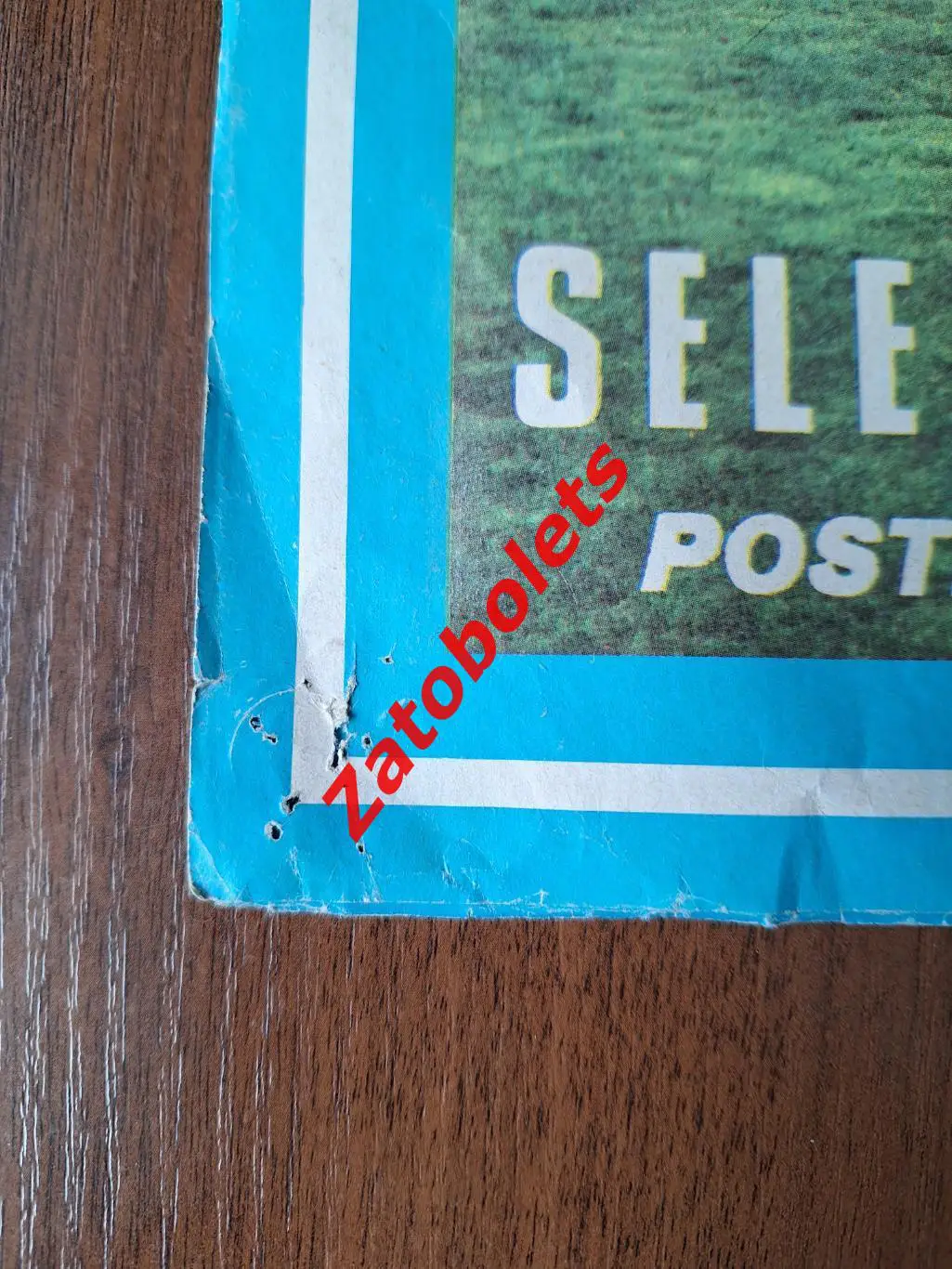 Постер плакат Сборная Аргентина Чемпионат Мира 1978 4