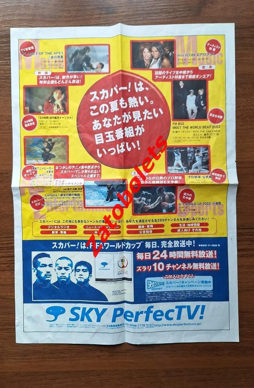 Чемпионат мира 2002 Япония / Корея 1