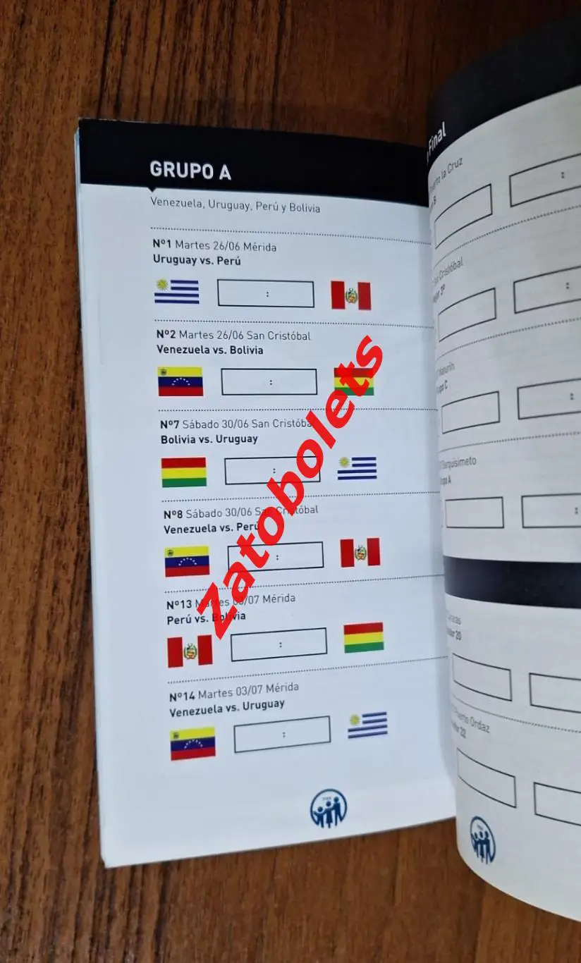 Чемпионат Южной Америки 2007 Венесуэла Копа Америка 2