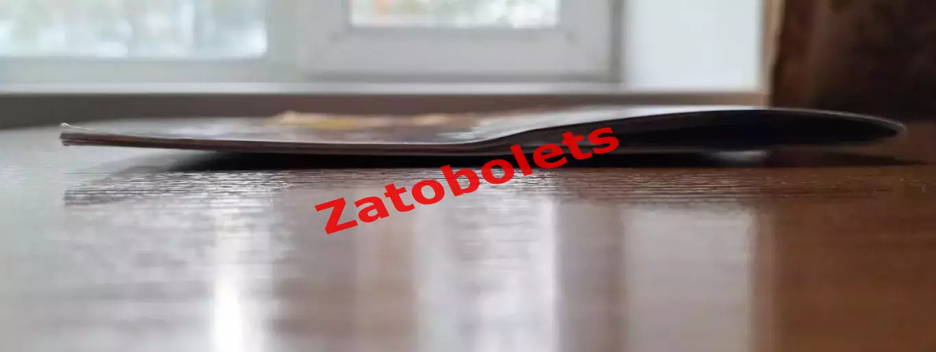 Казахстан - Уэльс 2025 Отборочный матч Чемпионата Мира 2026 4